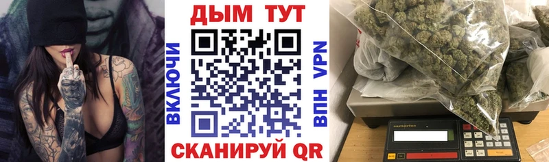 Каннабис OG Kush  Купить где  Новосибирск 